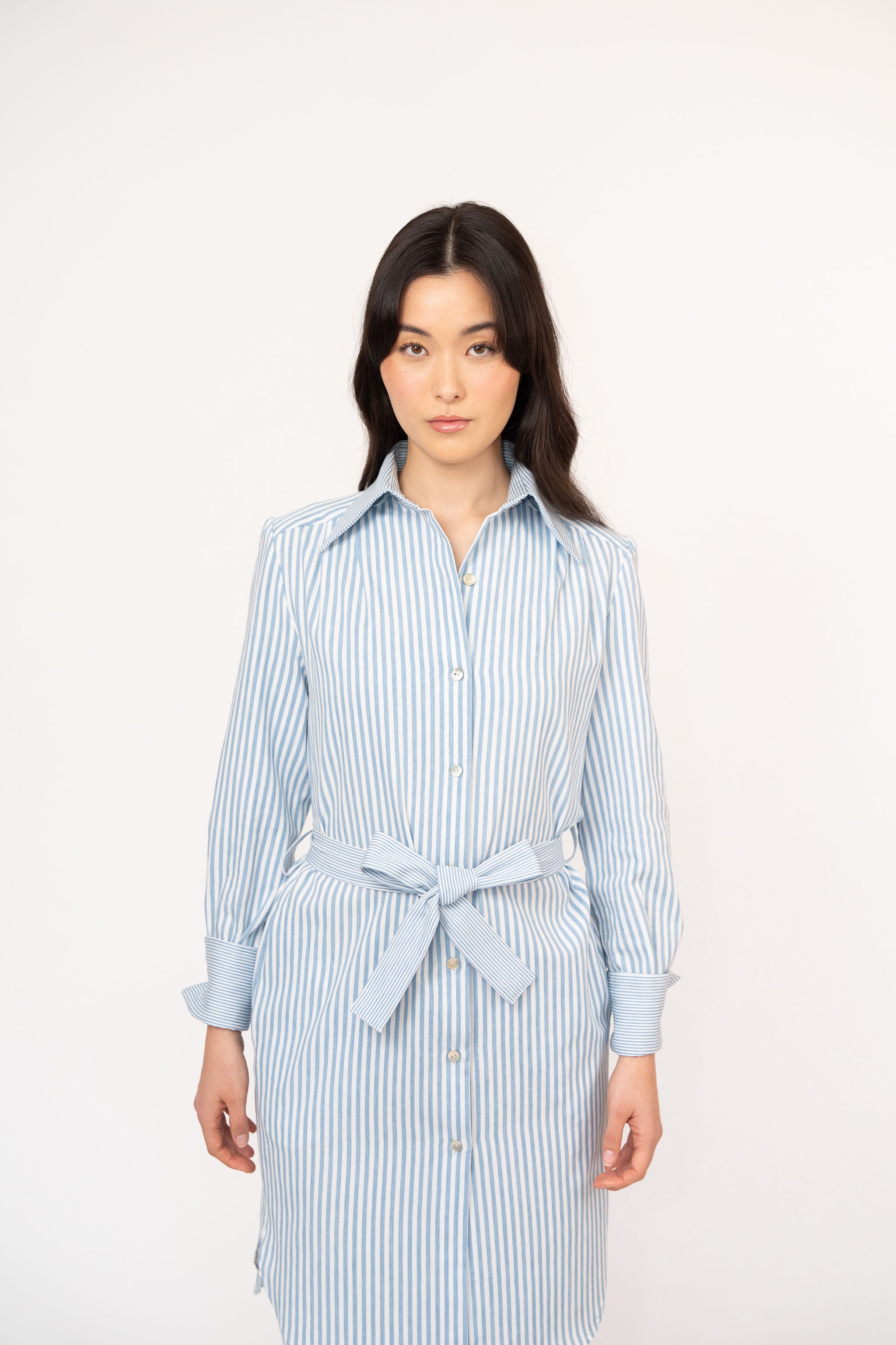 Blue Stripe Belted Cotton Shirtdress