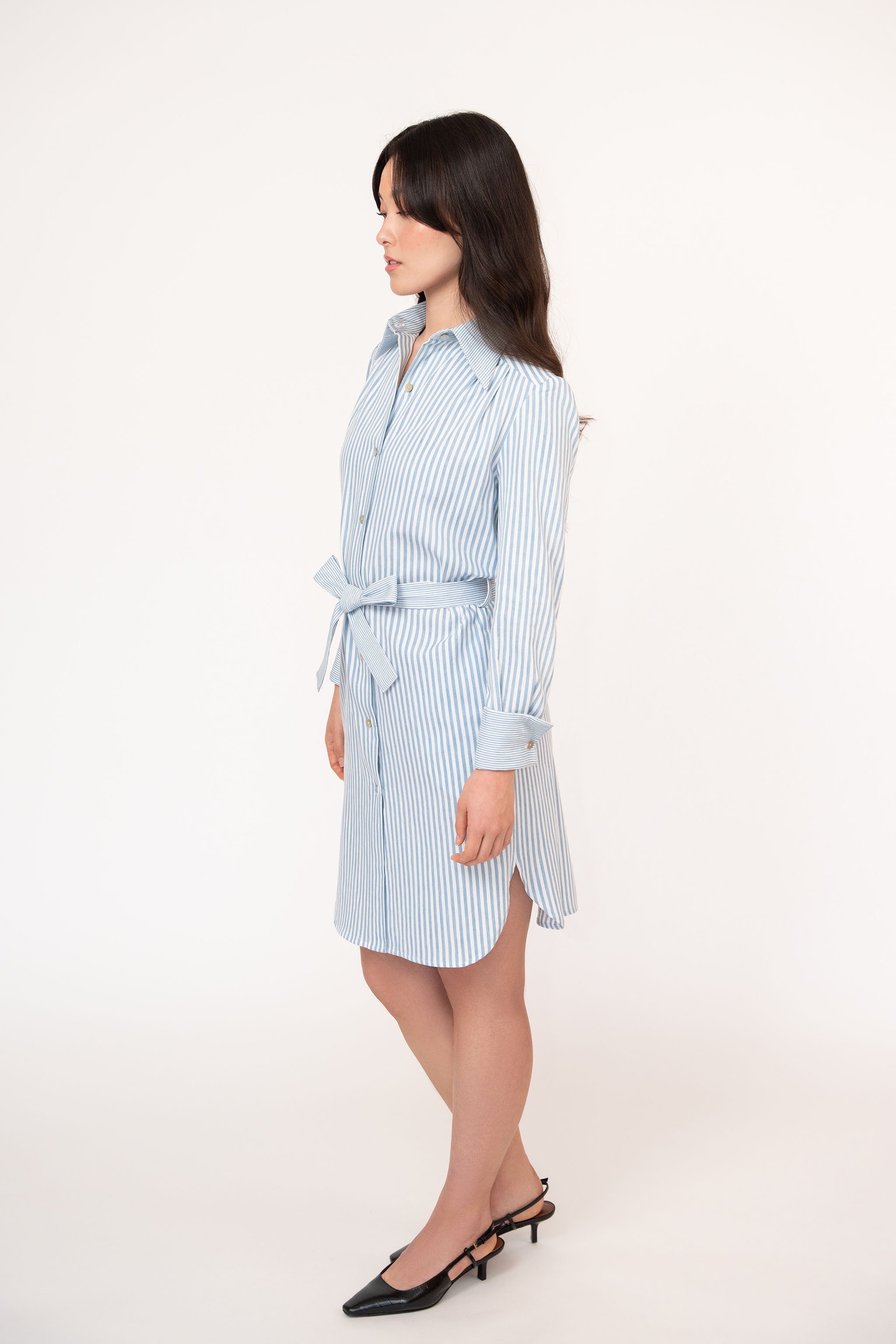 Blue Stripe Belted Cotton Shirtdress